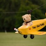 Top Gun Ted 2